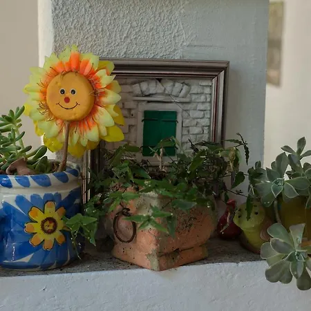 Apartment Marin Makarska