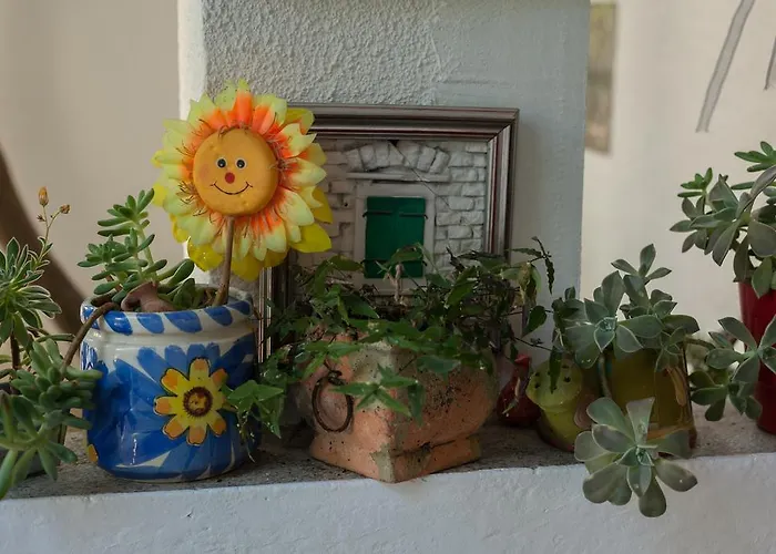 Apartmán Marin Makarská